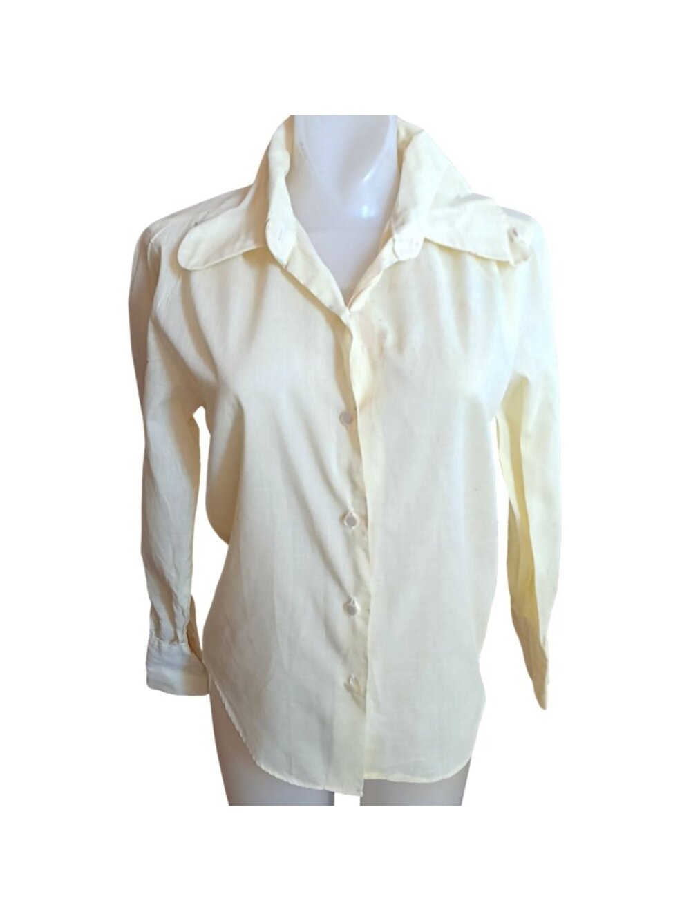 True Vintage Blouse Small 32 Japan Button-Up Long Sleeve Mod Puppy Collar 1970's